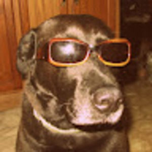 Meet your Posher, Aimee